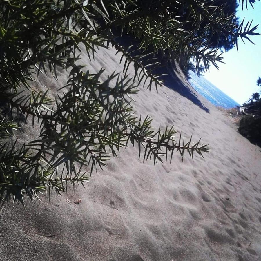 Cedrus And Sea, Beachfront House, Gennadi, Rhodes Exteriér fotografie
