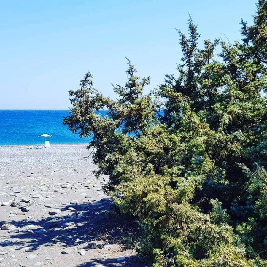 Cedrus And Sea, Beachfront House, Gennadi, Rhodes Exteriér fotografie
